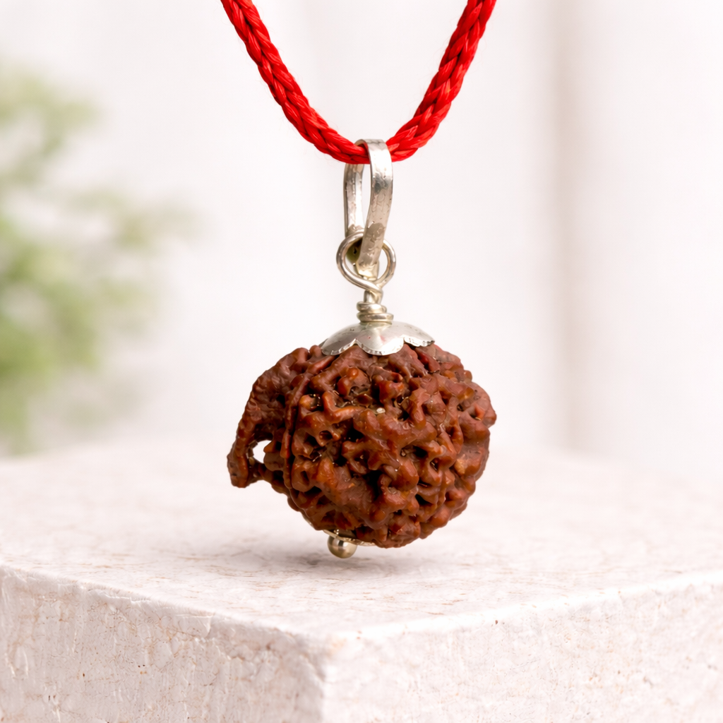 Ganesh Mukhi Nepali Rudraksha (Lab Certified)