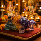 Vaastu - Money Magnate Kachua (Turtle)