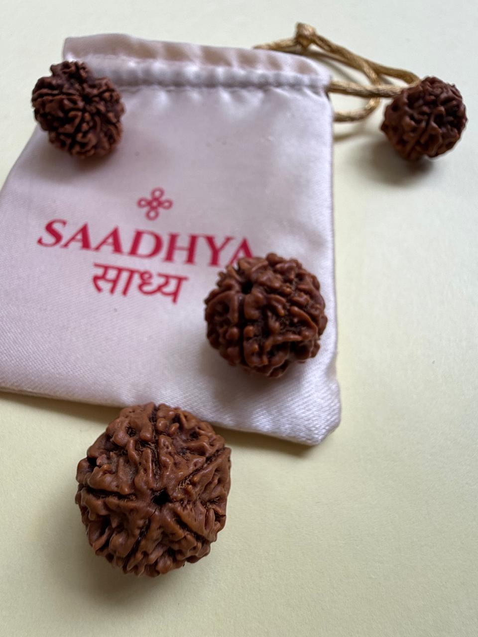 5 Mukhi Nepali Rudraksha - 100% Pure Undrilled (Lab Tested)
